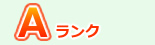 しっかりとした工事／Aランク